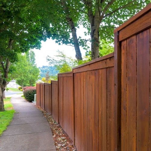 Outdoor sidewalk with brown wooden fence on right side surrounded by trees