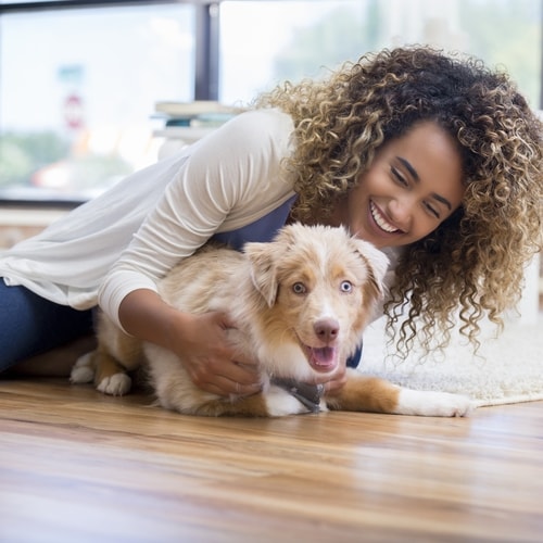 How to Stain Hardwood Floors