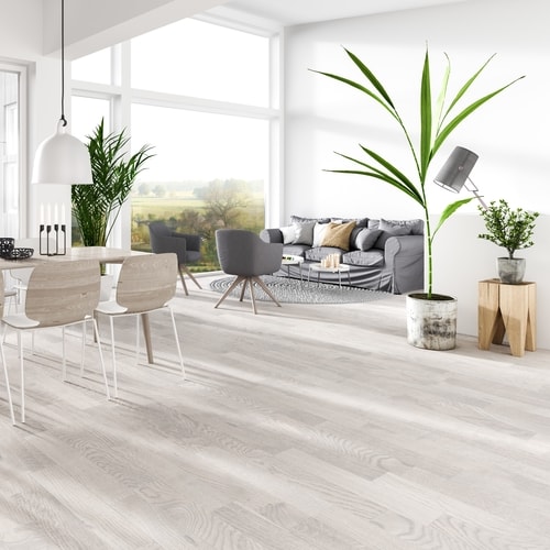 Interior Pine Wood