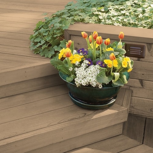 Outdoor wooden steps with plant-life wrapping around and potted flowers on step